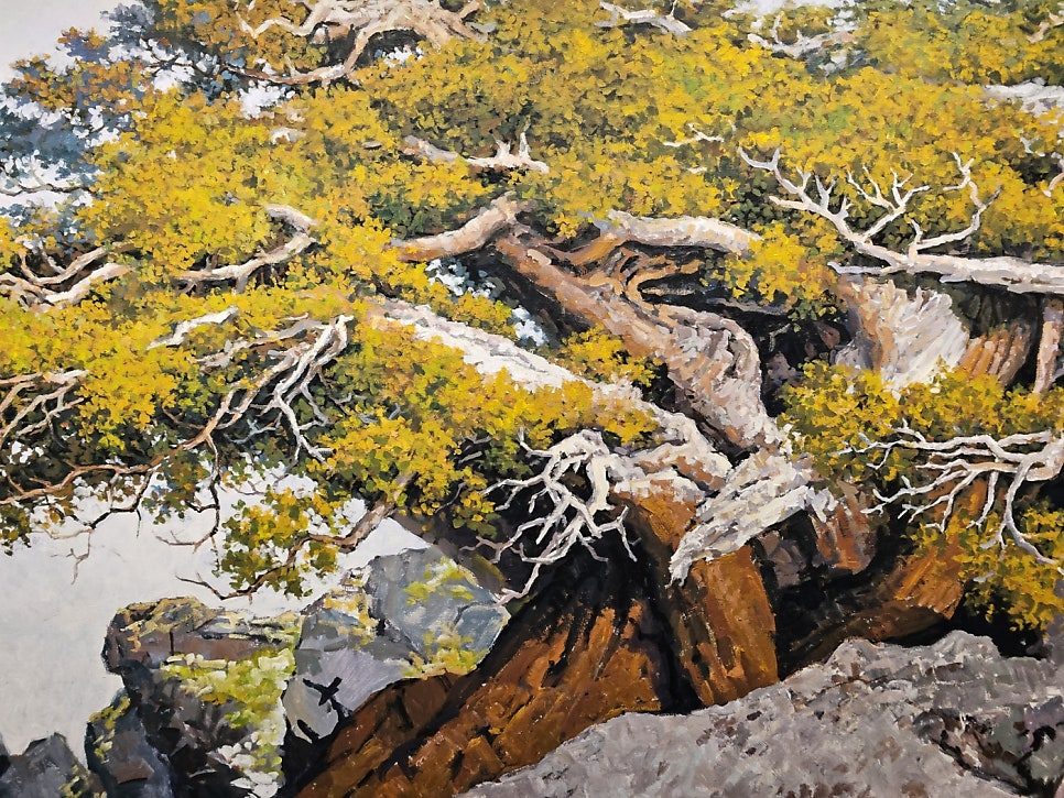 이희권 초대전 〈가이아(Gaia)展〉 · 〈지리산 토종 woodcraft展〉 전시 사진 4